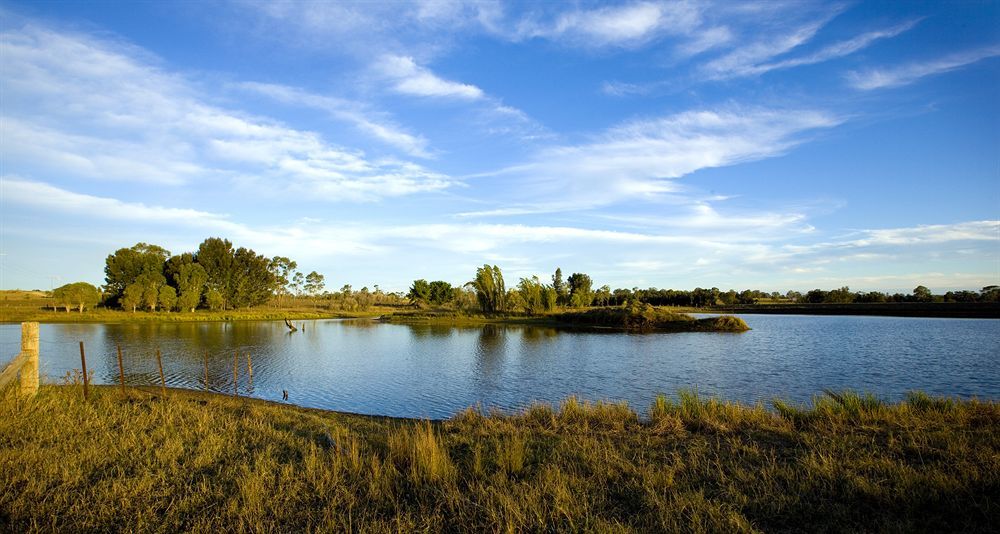 Vila Talga Estate Lovedale Exteriér fotografie